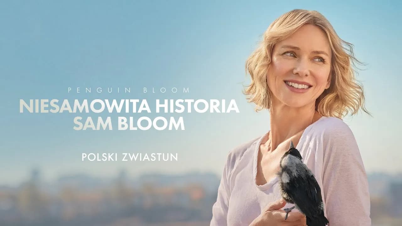 Pozytywne filmy na depresję: 10 tytułów, które podniosą na duchu